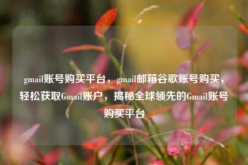 gmail账号购买平台，gmail邮箱谷歌账号购买，轻松获取Gmail账户，揭秘全球领先的Gmail账号购买平台