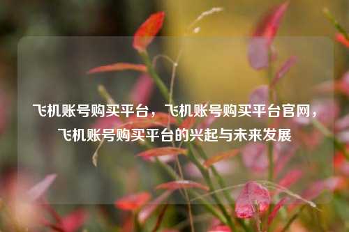 飞机账号购买平台，飞机账号购买平台官网，飞机账号购买平台的兴起与未来发展
