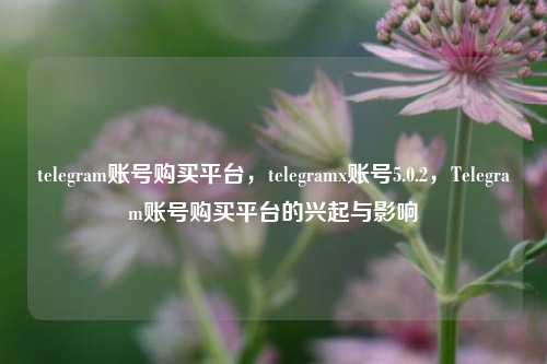 telegram账号购买平台，telegramx账号5.0.2，Telegram账号购买平台的兴起与影响