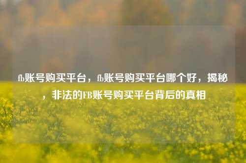 fb账号购买平台，fb账号购买平台哪个好，揭秘，非法的FB账号购买平台背后的真相