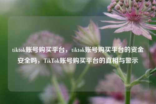 tiktok账号购买平台，tiktok账号购买平台的资金安全吗，TikTok账号购买平台的真相与警示