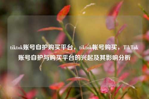 tiktok账号自护购买平台，tiktok帐号购买，TikTok账号自护与购买平台的兴起及其影响分析