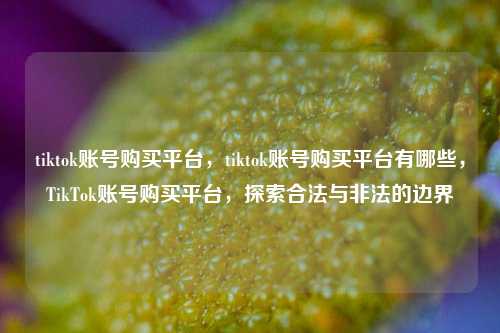 tiktok账号购买平台，tiktok账号购买平台有哪些，TikTok账号购买平台，探索合法与非法的边界