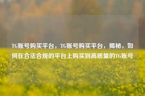 TG账号购买平台，TG账号购买平台，揭秘，如何在合法合规的平台上购买到高质量的TG账号