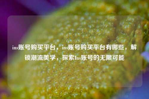 ins账号购买平台，ins账号购买平台有哪些，解锁潮流美学，探索Ins账号的无限可能