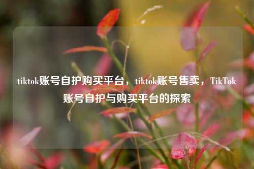 tiktok账号自护购买平台，tiktok账号售卖，TikTok账号自护与购买平台的探索