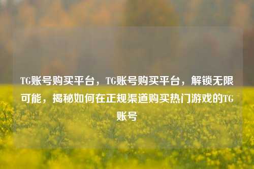TG账号购买平台，TG账号购买平台，解锁无限可能，揭秘如何在正规渠道购买热门游戏的TG账号