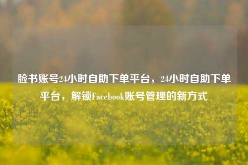 脸书账号24小时自助下单平台，24小时自助下单平台，解锁Facebook账号管理的新方式