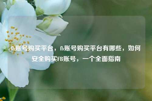 fb账号购买平台，fb账号购买平台有哪些，如何安全购买FB账号，一个全面指南