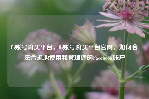 fb账号购买平台，fb账号购买平台官网，如何合法合规地使用和管理您的Facebook账户