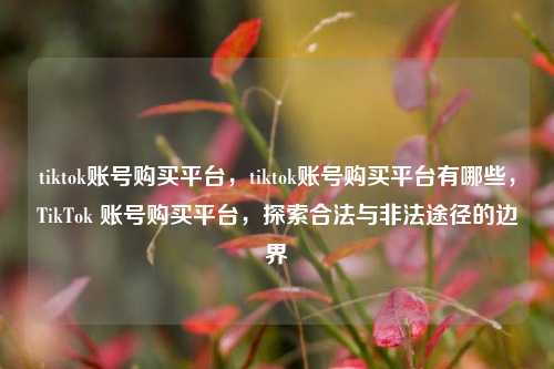 tiktok账号购买平台，tiktok账号购买平台有哪些，TikTok 账号购买平台，探索合法与非法途径的边界