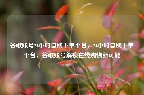 谷歌账号24小时自助下单平台，24小时自助下单平台	，谷歌账号解锁在线购物新可能  第1张