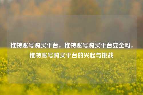 推特账号购买平台，推特账号购买平台安全吗，推特账号购买平台的兴起与挑战