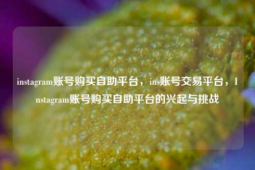 instagram账号购买自助平台	，ins账号交易平台，Instagram账号购买自助平台的兴起与挑战  第1张