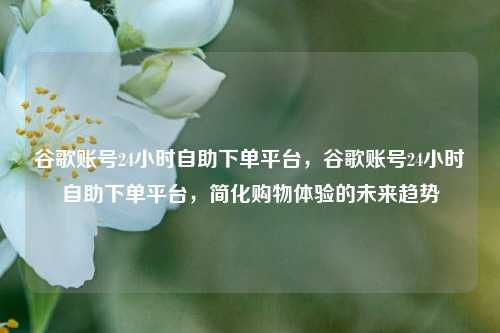 谷歌账号24小时自助下单平台，谷歌账号24小时自助下单平台，简化购物体验的未来趋势