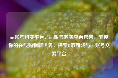 ins账号购买平台，ins账号购买平台官网，解锁你的在线购物新世界，探索Q币商城与Ins账号交易平台