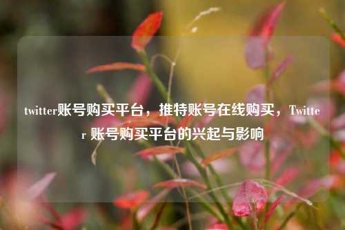 twitter账号购买平台，推特账号在线购买，Twitter 账号购买平台的兴起与影响