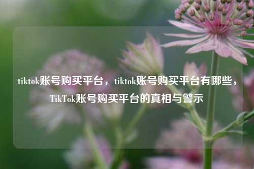 tiktok账号购买平台，tiktok账号购买平台有哪些，TikTok账号购买平台的真相与警示
