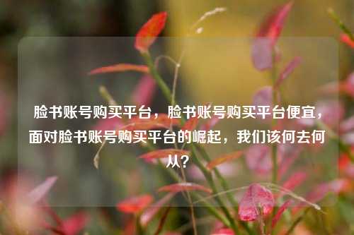 脸书账号购买平台，脸书账号购买平台便宜，面对脸书账号购买平台的崛起，我们该何去何从？