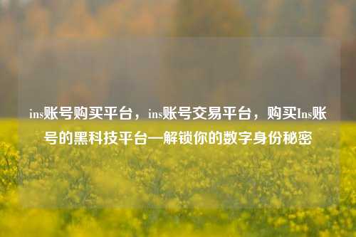 ins账号购买平台，ins账号交易平台，购买Ins账号的黑科技平台—解锁你的数字身份秘密