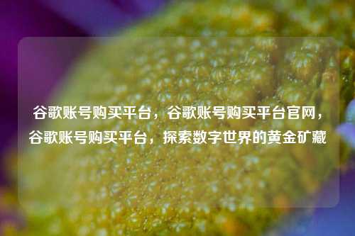 谷歌账号购买平台，谷歌账号购买平台官网，谷歌账号购买平台，探索数字世界的黄金矿藏