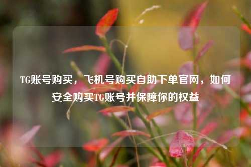 TG账号购买，飞机号购买自助下单官网，如何安全购买TG账号并保障你的权益  第1张