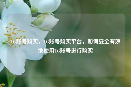 TG账号购买，TG账号购买平台，如何安全有效地使用TG账号进行购买
