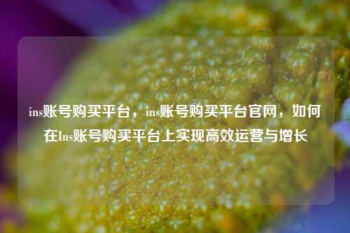 ins账号购买平台，ins账号购买平台官网，如何在Ins账号购买平台上实现高效运营与增长
