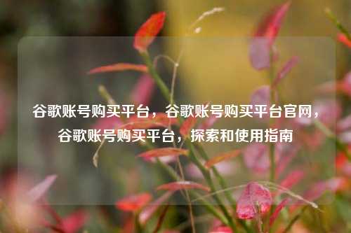 谷歌账号购买平台，谷歌账号购买平台官网，谷歌账号购买平台，探索和使用指南