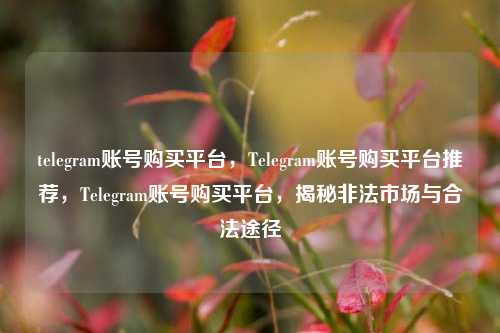 telegram账号购买平台，Telegram账号购买平台推荐，Telegram账号购买平台，揭秘非法市场与合法途径