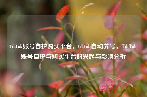 tiktok账号自护购买平台，tiktok自动养号，TikTok账号自护与购买平台的兴起与影响分析