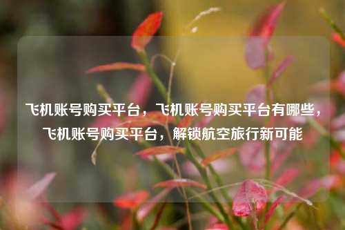 飞机账号购买平台，飞机账号购买平台有哪些，飞机账号购买平台，解锁航空旅行新可能