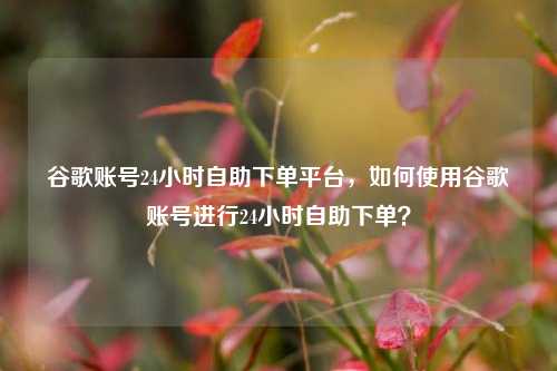 谷歌账号24小时自助下单平台，如何使用谷歌账号进行24小时自助下单？