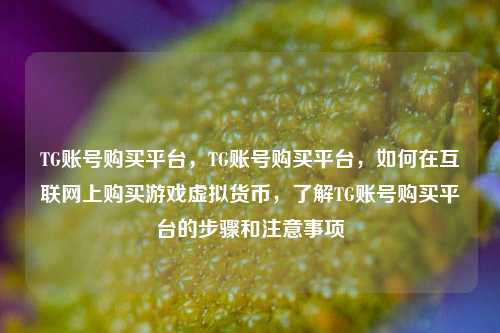 TG账号购买平台，TG账号购买平台，如何在互联网上购买游戏虚拟货币，了解TG账号购买平台的步骤和注意事项