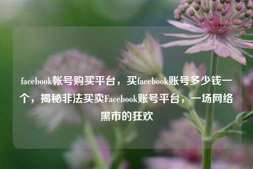 facebook帐号购买平台，买facebook账号多少钱一个，揭秘非法买卖Facebook账号平台，一场网络黑市的狂欢
