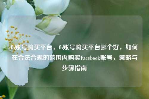 fb账号购买平台，fb账号购买平台哪个好，如何在合法合规的范围内购买Facebook账号，策略与步骤指南
