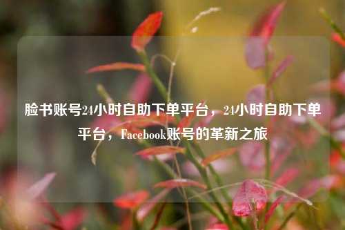 脸书账号24小时自助下单平台，24小时自助下单平台，Facebook账号的革新之旅