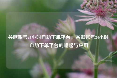 谷歌账号24小时自助下单平台，谷歌账号24小时自助下单平台的崛起与应用