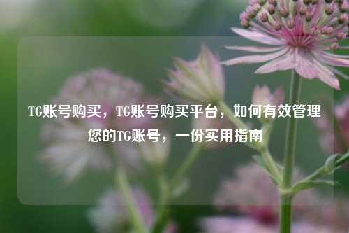 TG账号购买，TG账号购买平台，如何有效管理您的TG账号，一份实用指南