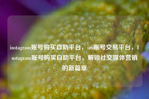 instagram账号购买自助平台，ins账号交易平台，Instagram账号购买自助平台，解锁社交媒体营销的新篇章