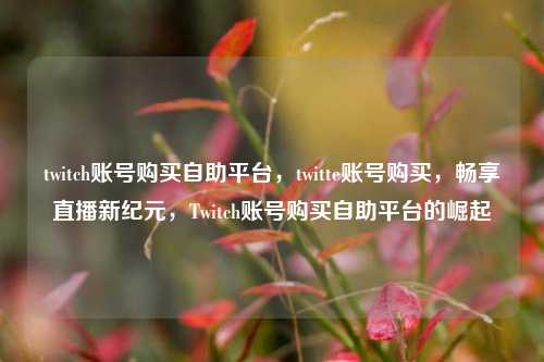 twitch账号购买自助平台，twitte账号购买，畅享直播新纪元，Twitch账号购买自助平台的崛起