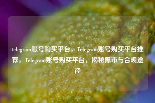 telegram账号购买平台，Telegram账号购买平台推荐，Telegram账号购买平台，揭秘黑市与合规途径