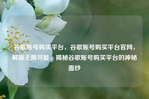谷歌账号购买平台，谷歌账号购买平台官网，解锁无限可能，揭秘谷歌账号购买平台的神秘面纱