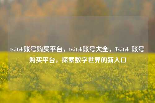twitch账号购买平台，twitch账号大全，Twitch 账号购买平台，探索数字世界的新入口