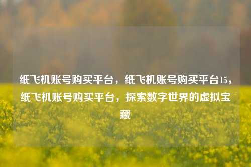 纸飞机账号购买平台，纸飞机账号购买平台15，纸飞机账号购买平台，探索数字世界的虚拟宝藏