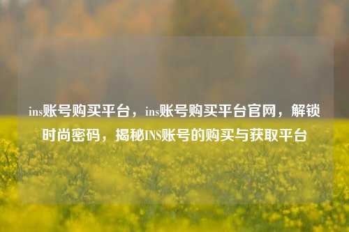 ins账号购买平台，ins账号购买平台官网，解锁时尚密码，揭秘INS账号的购买与获取平台