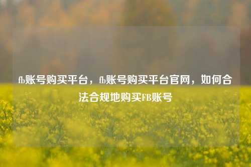 fb账号购买平台，fb账号购买平台官网，如何合法合规地购买FB账号