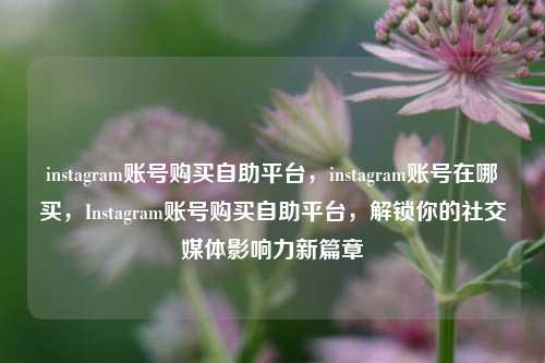 instagram账号购买自助平台，instagram账号在哪买，Instagram账号购买自助平台，解锁你的社交媒体影响力新篇章