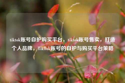 tiktok账号自护购买平台，tiktok账号售卖，打造个人品牌	，TikTok账号的自护与购买平台策略  第1张