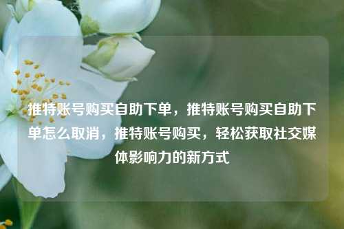 推特账号购买自助下单，推特账号购买自助下单怎么取消，推特账号购买，轻松获取社交媒体影响力的新方式